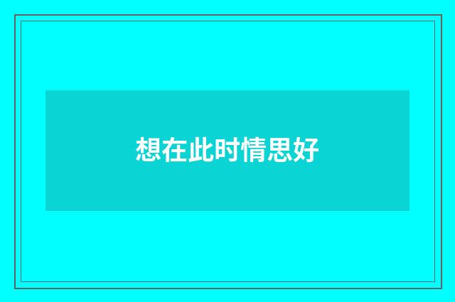 想在此时情思好
