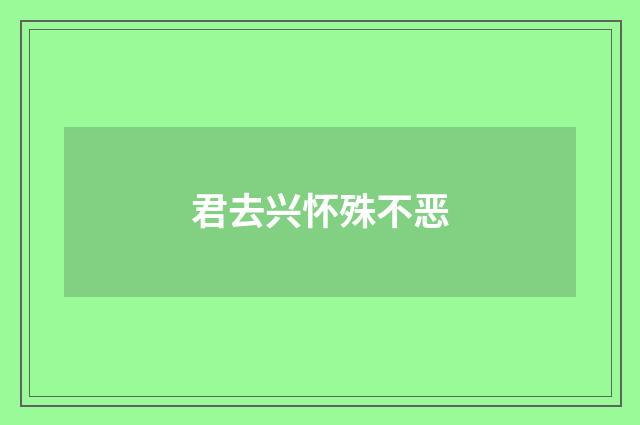 君去兴怀殊不恶