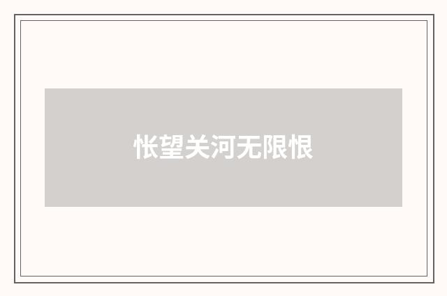 怅望关河无限恨