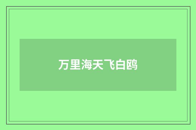 万里海天飞白鸥