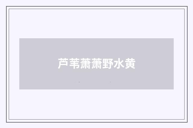 芦苇萧萧野水黄