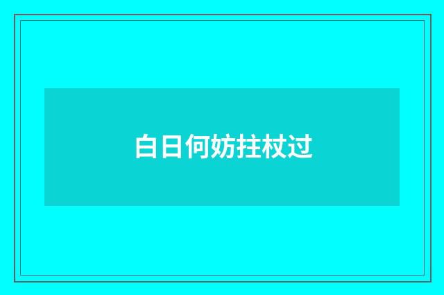 白日何妨拄杖过