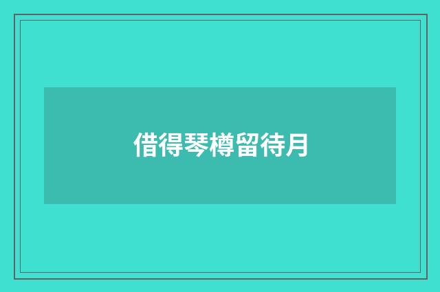 借得琴樽留待月