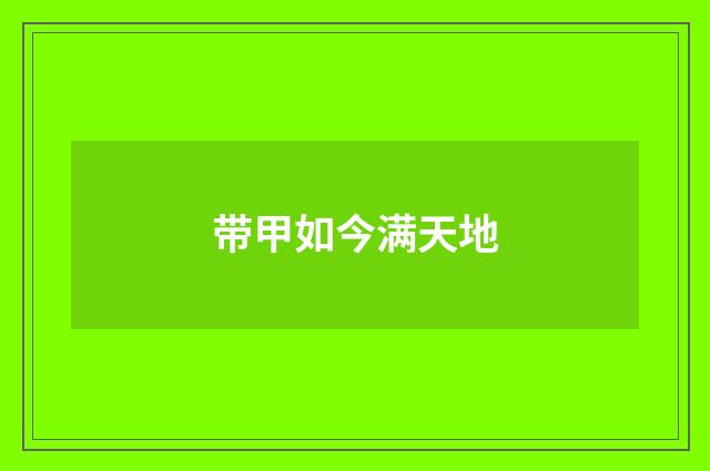 带甲如今满天地