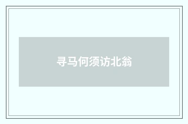 寻马何须访北翁