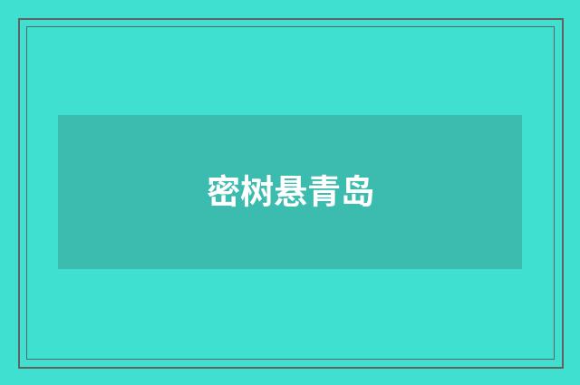 密树悬青岛