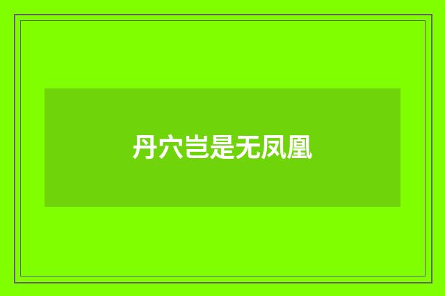 丹穴岂是无凤凰