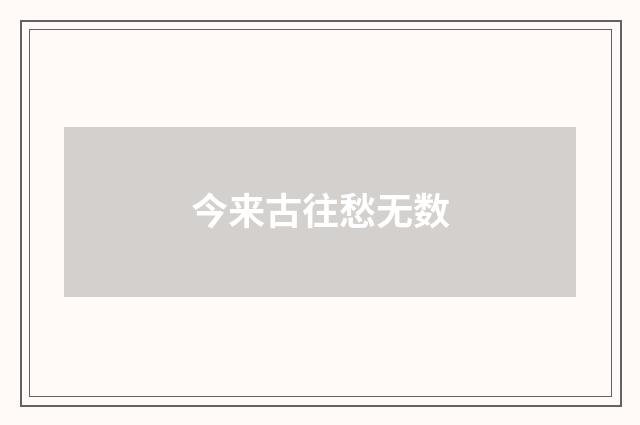 今来古往愁无数