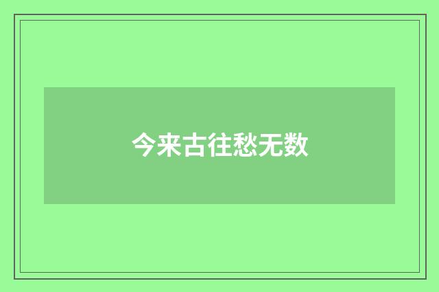 今来古往愁无数