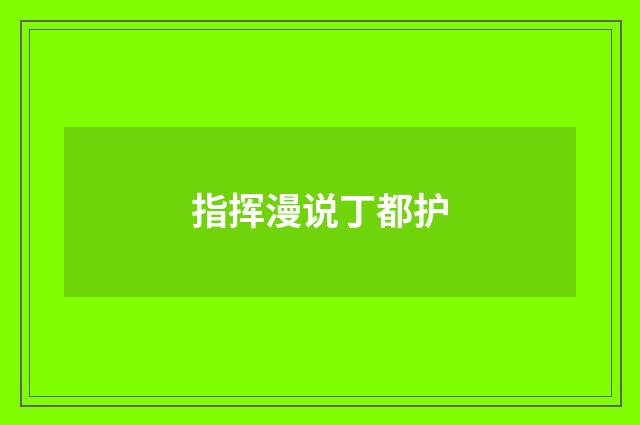 指挥漫说丁都护