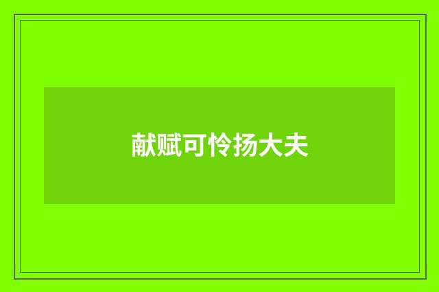 献赋可怜扬大夫