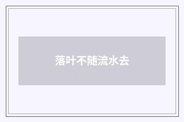 落叶不随流水去