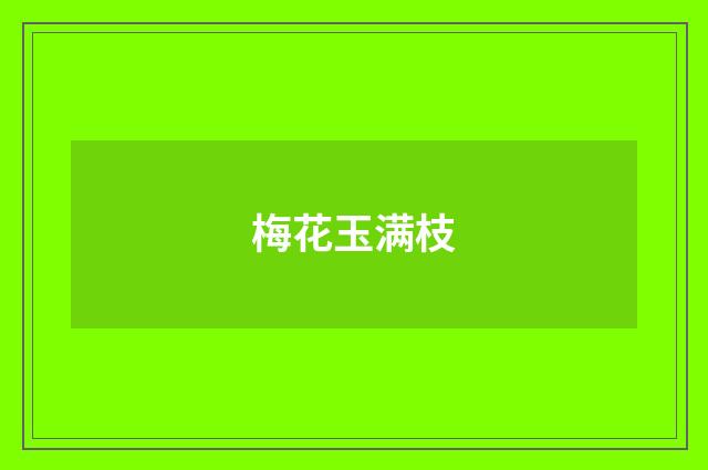 梅花玉满枝