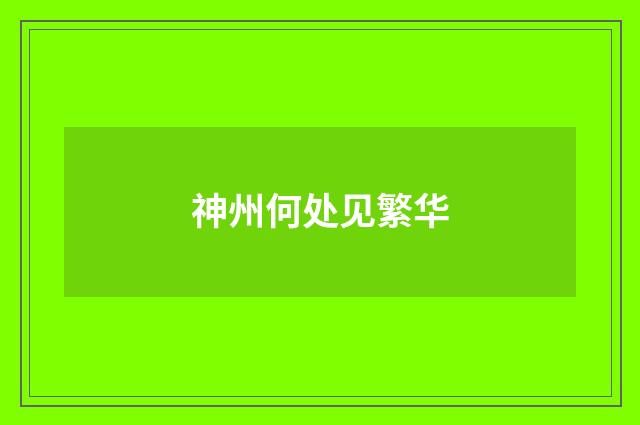 神州何处见繁华