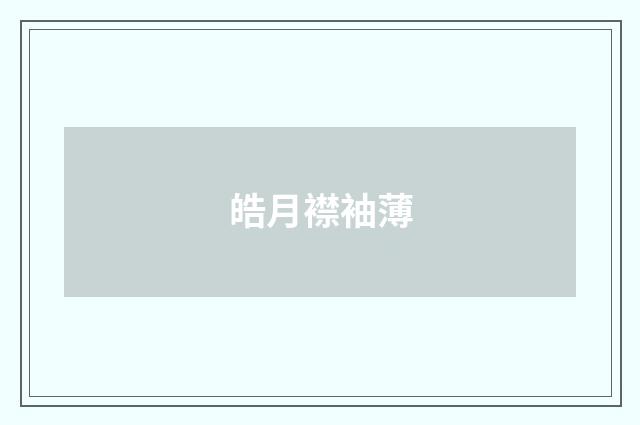 皓月襟袖薄