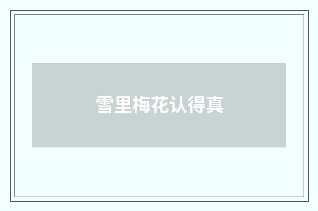 雪里梅花认得真