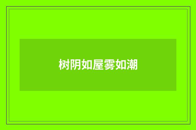 树阴如屋雾如潮