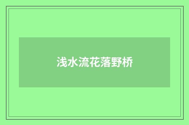 浅水流花落野桥