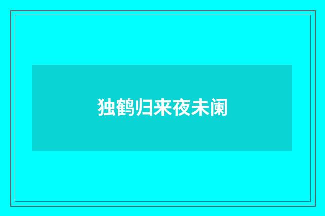 独鹤归来夜未阑