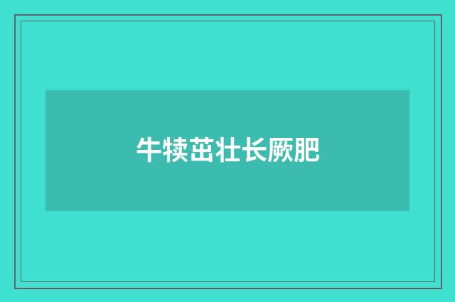 牛犊茁壮长厥肥