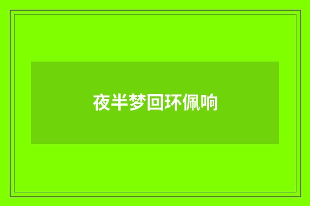 夜半梦回环佩响
