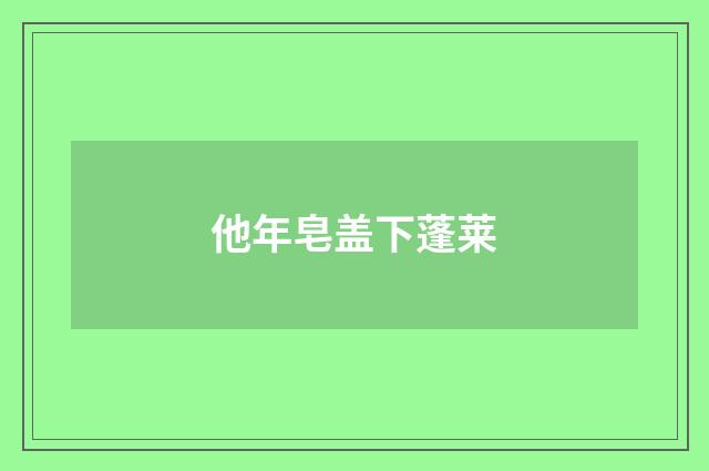 他年皂盖下蓬莱