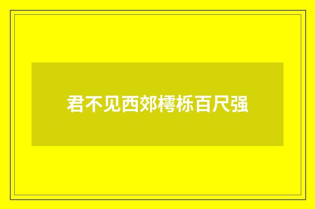君不见西郊樗栎百尺强