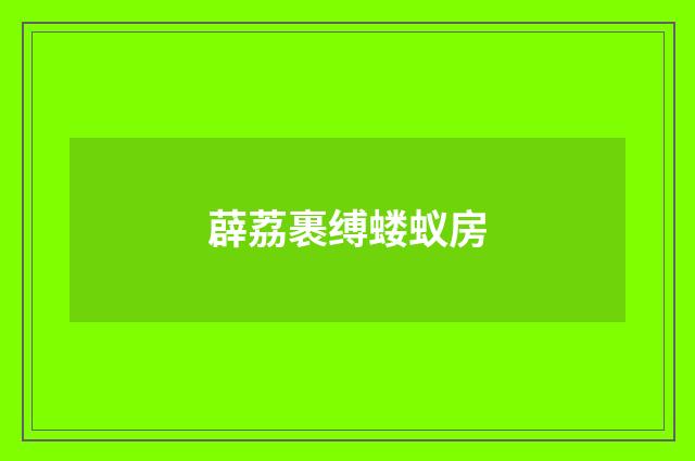 薜荔裹缚蝼蚁房