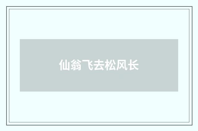 仙翁飞去松风长