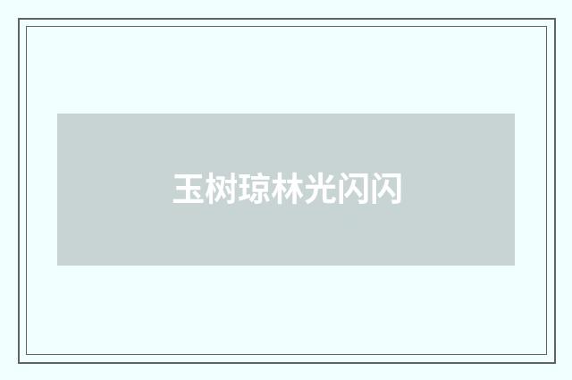 玉树琼林光闪闪