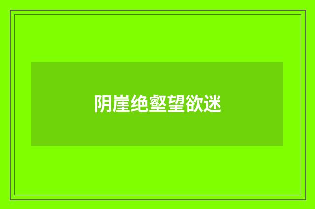 阴崖绝壑望欲迷