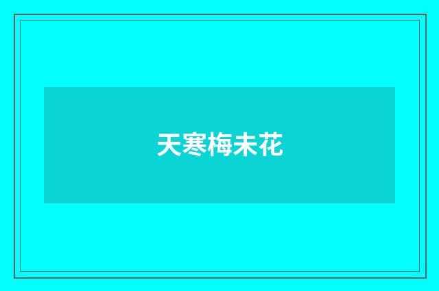 天寒梅未花