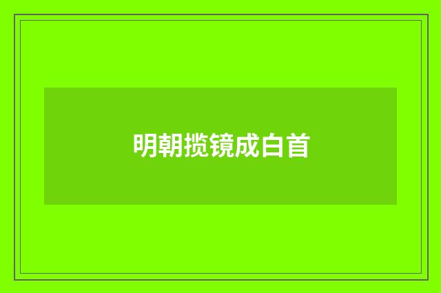 明朝揽镜成白首