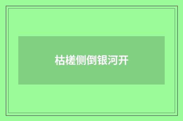 枯槎侧倒银河开