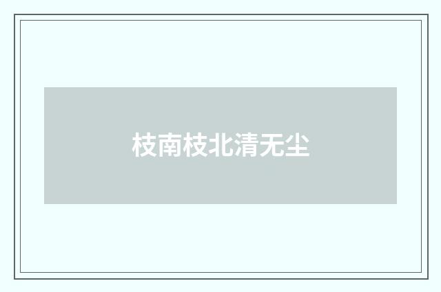 枝南枝北清无尘