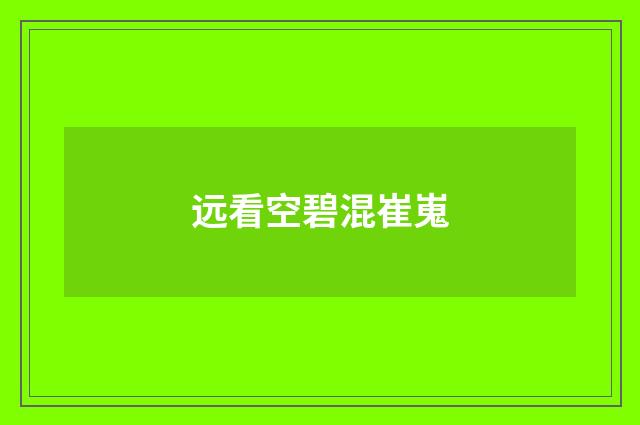 远看空碧混崔嵬