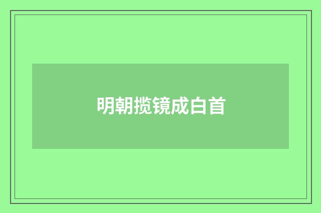 明朝揽镜成白首