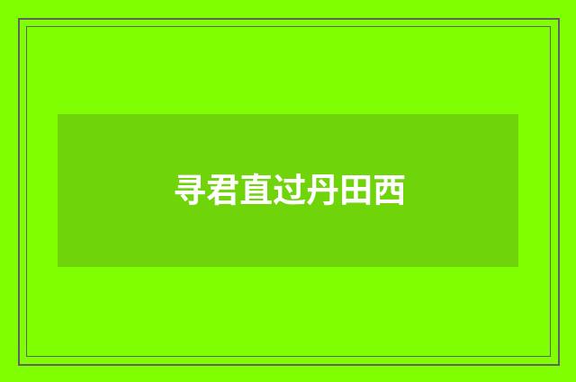 寻君直过丹田西