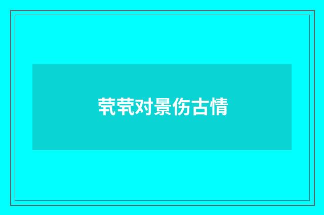 茕茕对景伤古情