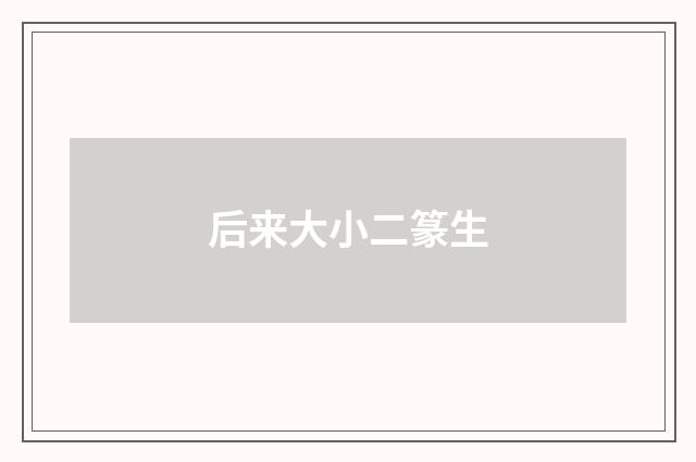 后来大小二篆生