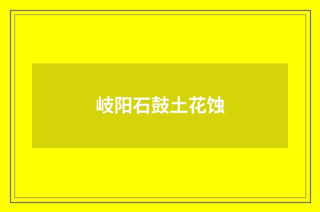 岐阳石鼓土花蚀