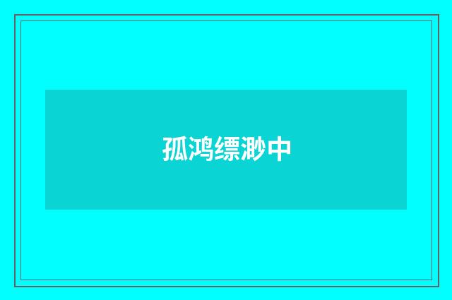 孤鸿缥渺中
