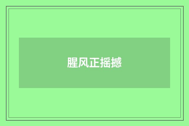 腥风正摇撼