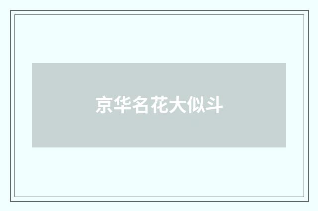 京华名花大似斗