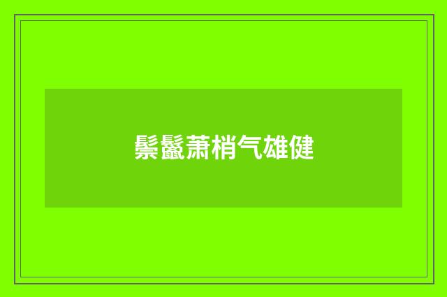 鬃鬣萧梢气雄健