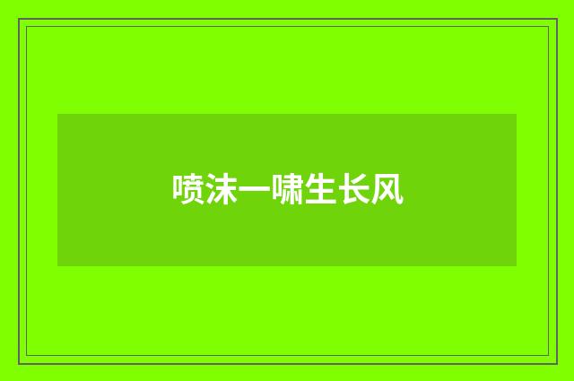 喷沫一啸生长风