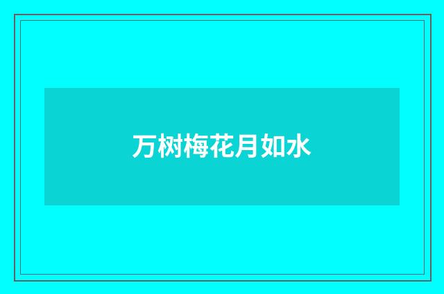 万树梅花月如水
