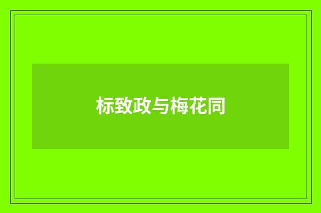 标致政与梅花同