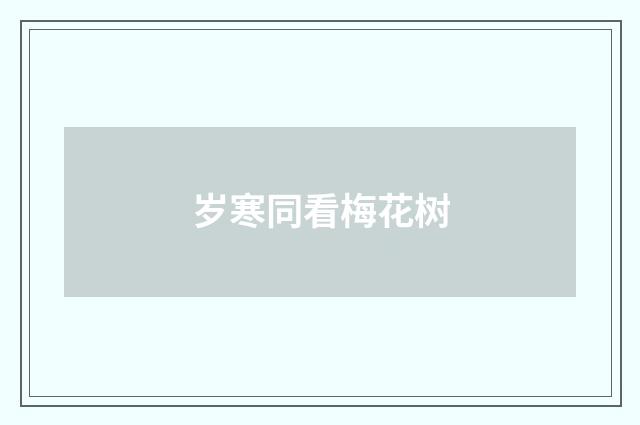 岁寒同看梅花树