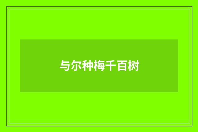 与尔种梅千百树